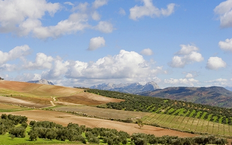 Antequera fields with mountain backdrop in Summer